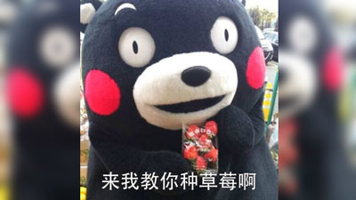 来和我种草莓表情包截图 来和我种草莓表情包截图