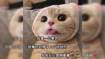 来和我种草莓表情包截图 来和我种草莓表情包截图