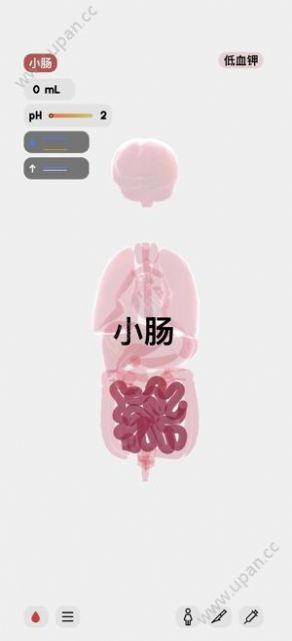 生命LIFE截图 生命LIFE截图