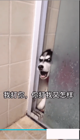 微信8.0状态背景视频截图 微信8.0状态背景视频截图