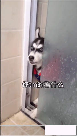 微信8.0状态背景视频截图 微信8.0状态背景视频截图