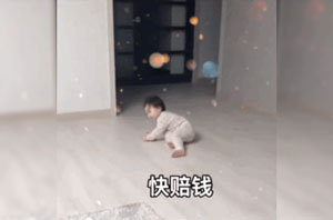 被炸到了赔钱表情包截图 被炸到了赔钱表情包截图