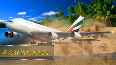 3D飞行模拟器2019截图