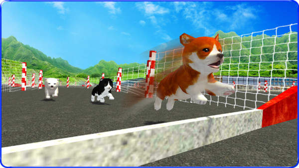 小狗跑酷比赛模拟器截图