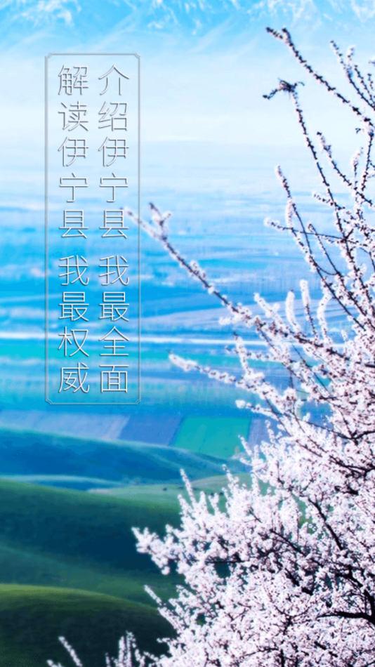 杏乡好地方截图 杏乡好地方截图