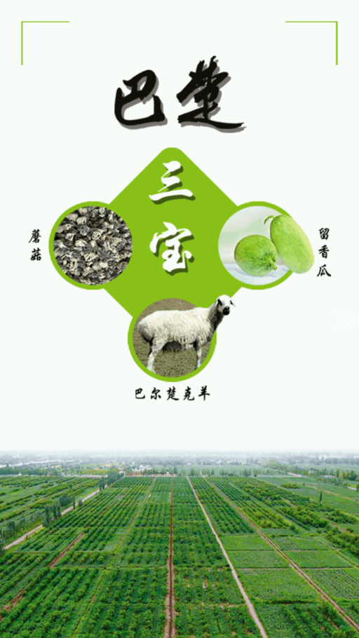 巴楚好地方客户端app截图