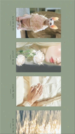 ChicCam截图 ChicCam截图