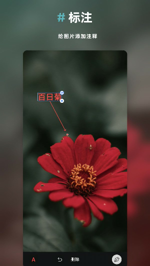 Med图片处理截图