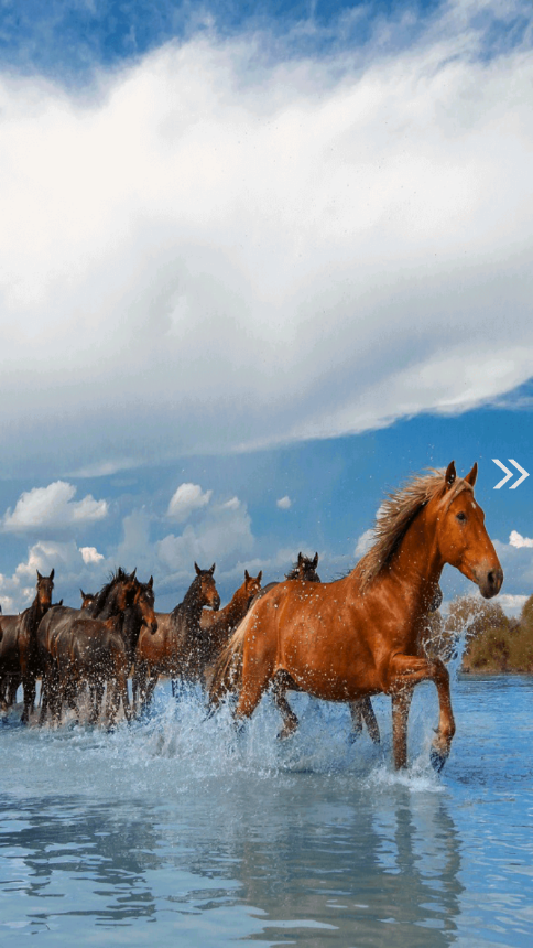 昭苏好地方截图 昭苏好地方截图