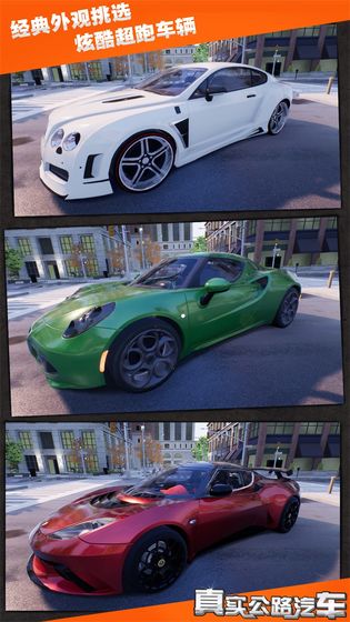 真实公路汽车和谐版截图