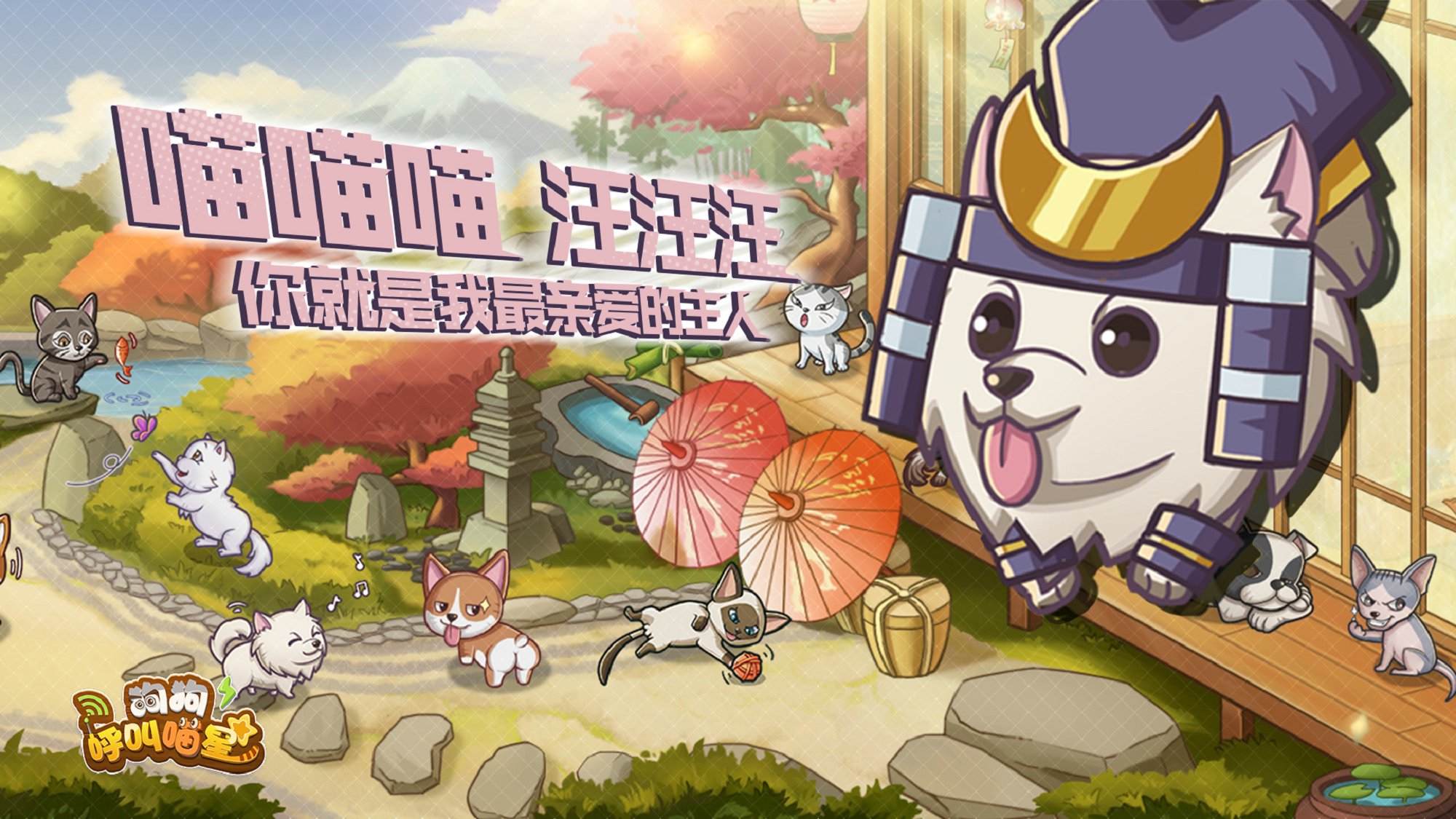 狗狗呼叫喵星截图 狗狗呼叫喵星截图