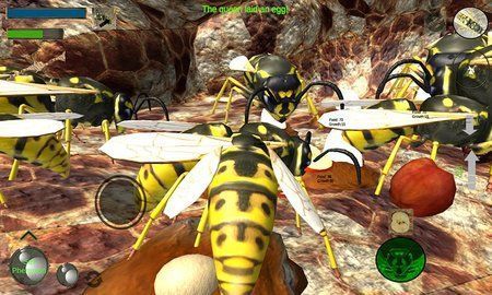 大黄蜂进化史截图