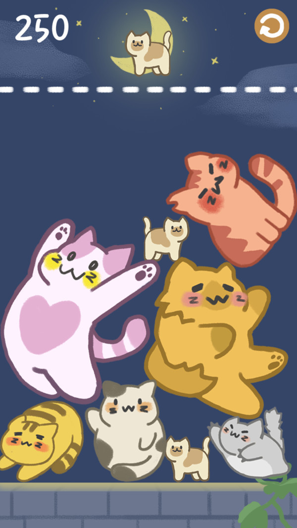 猫咪满屋截图 猫咪满屋截图