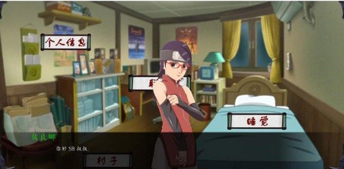 女忍最后的战争汉化和谐版截图