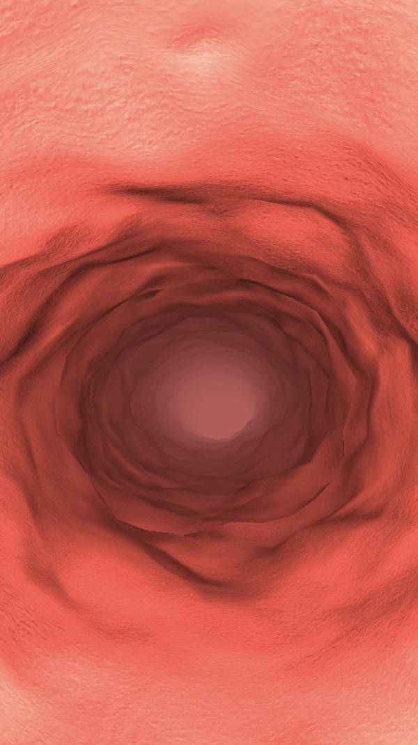 茄子探险截图 茄子探险截图