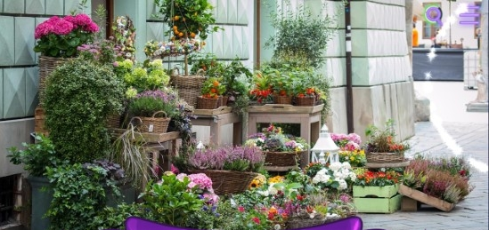 找一只猫截图 找一只猫截图