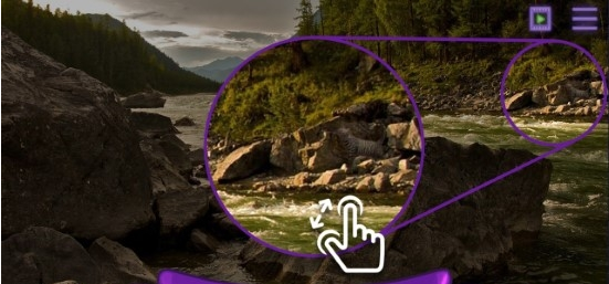 找一只猫截图 找一只猫截图