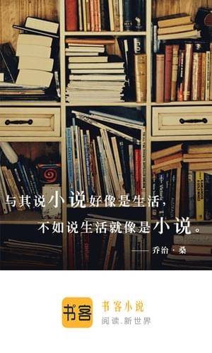 书客小说截图