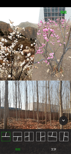 小葡萄截图 小葡萄截图