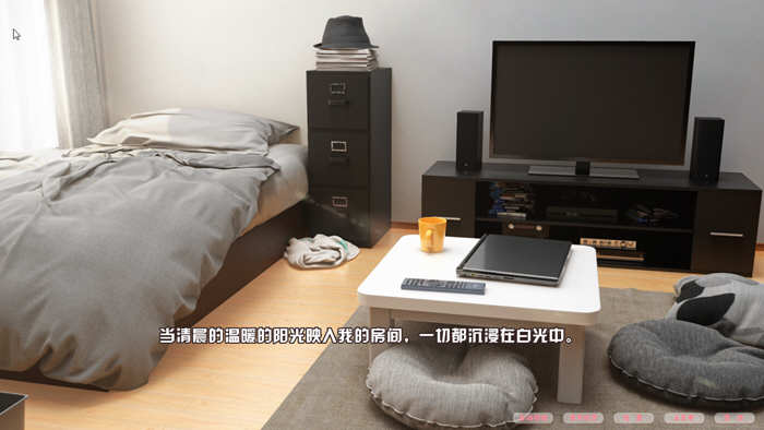 樱花秘密的游戏时间手机直装版截图