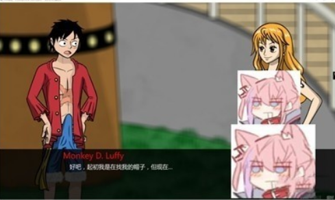 海贼王的阳光假期截图 海贼王的阳光假期截图