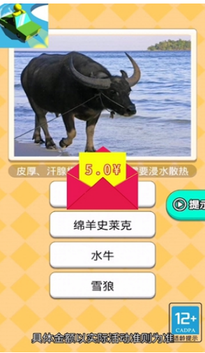 恐龙小车场截图 恐龙小车场截图