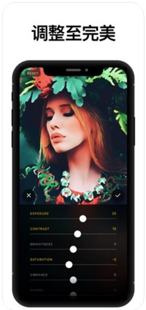Prisma艺术相机截图