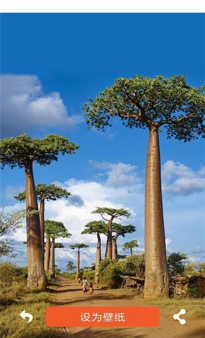 壁纸头像大全截图 壁纸头像大全截图