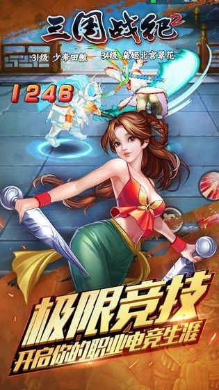 三国战记2截图