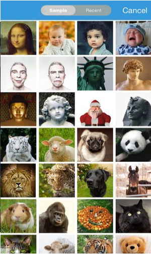 奇幻变脸秀截图