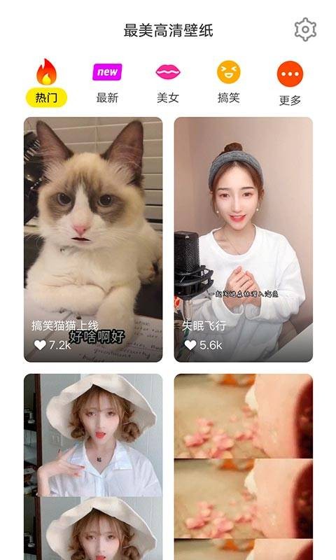 最美高清壁纸截图 最美高清壁纸截图