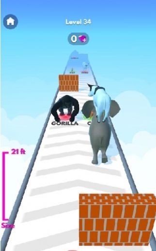 动物栈跑截图 动物栈跑截图