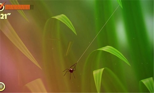 蜘蛛的冒险截图
