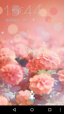 花蝴蝶壁纸美化截图