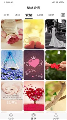 飞花动态壁纸截图