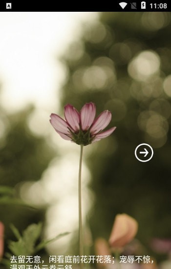 蔷薇书院之洛诗涵战寒爵截图 蔷薇书院之洛诗涵战寒爵截图