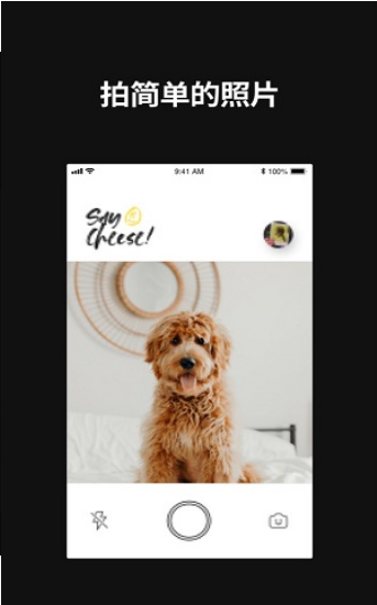 LowPolar截图 LowPolar截图