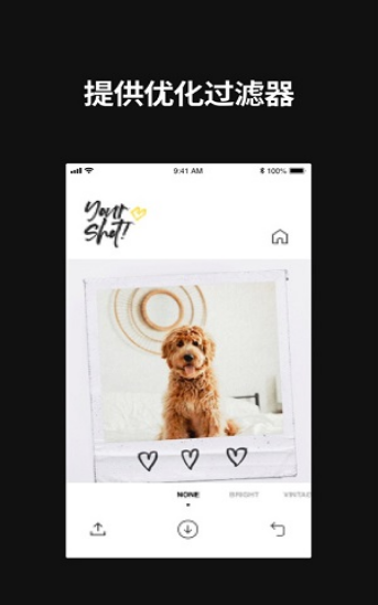 LowPolar截图 LowPolar截图