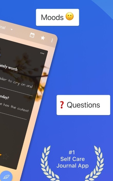 自定义日记截图