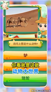 动物大世界截图 动物大世界截图