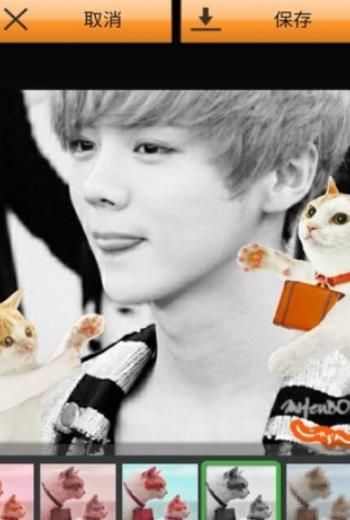 美萌喵相机截图 美萌喵相机截图