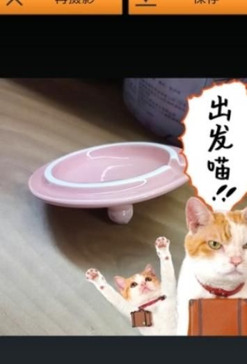 美萌喵相机截图 美萌喵相机截图