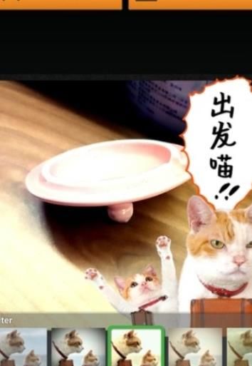 美萌喵相机截图 美萌喵相机截图