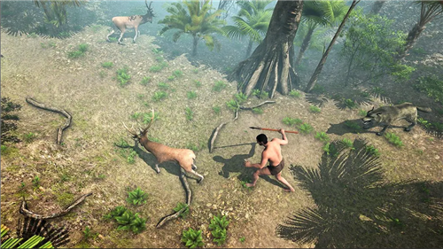 荒岛海滩幸存者截图 荒岛海滩幸存者截图