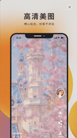 萌猫壁纸截图 萌猫壁纸截图