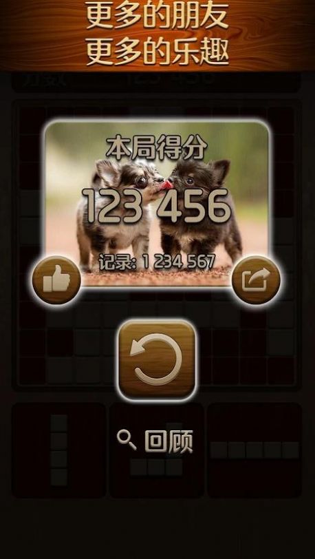 伍迪积木拼图截图