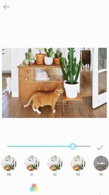 智美特效相机截图 智美特效相机截图