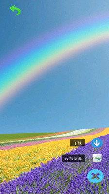 视频主题壁纸截图