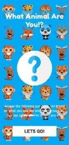 我是什么动物截图 我是什么动物截图