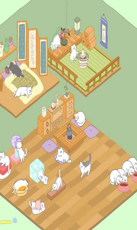 猫咪真可爱截图 猫咪真可爱截图